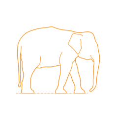Animals Elephants Borneo Pygmy Elephant Sketch Style Svg Vector, Free Vectors File